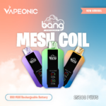 Bang Vape 25000 Puffs - Featured image